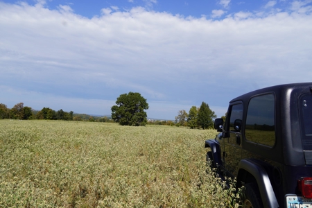 Hunting, Pasture, Land Near Kerr Lake For Sale Oklahoma - image 24