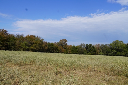 Hunting, Pasture, Land Near Kerr Lake For Sale Oklahoma - image 12