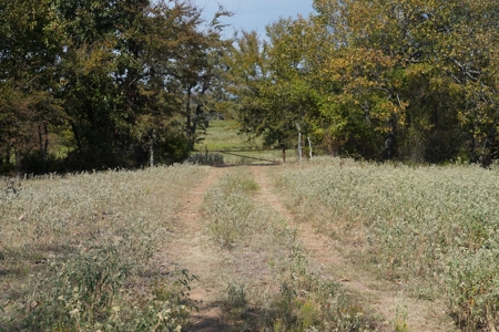 Hunting, Pasture, Land Near Kerr Lake For Sale Oklahoma - image 22