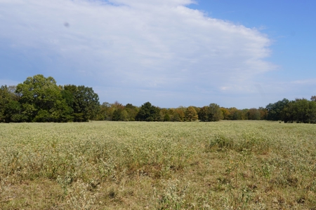 Hunting, Pasture, Land Near Kerr Lake For Sale Oklahoma - image 11