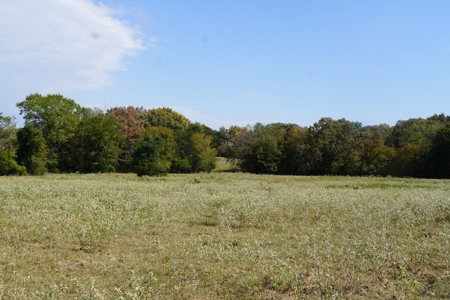 Hunting, Pasture, Land Near Kerr Lake For Sale Oklahoma - image 20