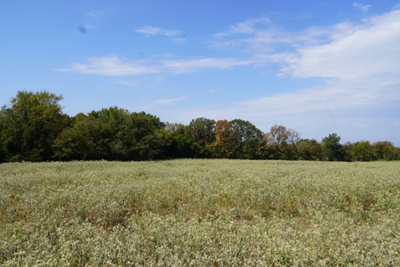 Hunting, Pasture, Land Near Kerr Lake For Sale Oklahoma - image 26