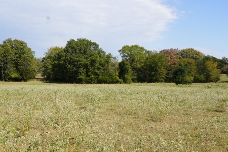 Hunting, Pasture, Land Near Kerr Lake For Sale Oklahoma - image 19