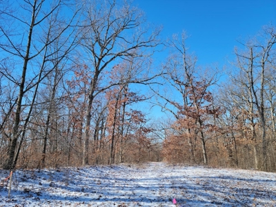 Acreage for sale, Kirksville, MO  Adair County, 20 acres - image 1