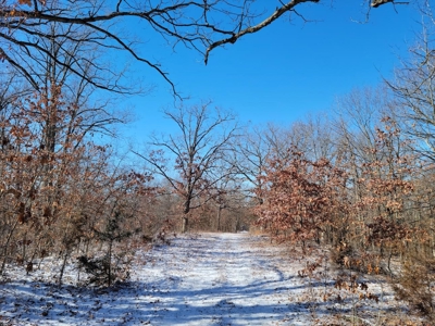 Acreage for sale, Kirksville, MO  Adair County, 20 acres - image 2