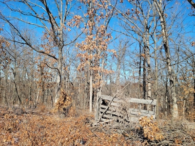 Acreage for sale, Kirksville, MO  Adair County, 20 acres - image 5