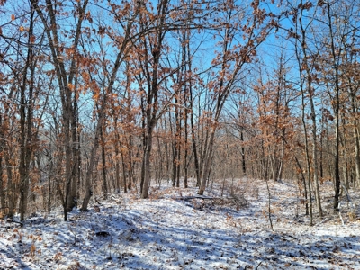 Acreage for sale, Kirksville, MO  Adair County, 20 acres - image 6