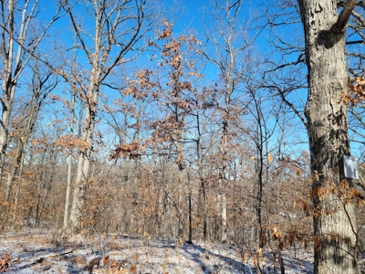 Acreage for sale, Kirksville, MO  Adair County, 20 acres - image 3