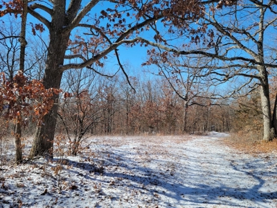 Acreage for sale, Kirksville, MO  Adair County, 20 acres - image 4