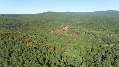 Earthship Home & 45 Acres Adjoining National Forest - image 4