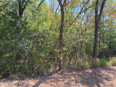 Land for Sale Southeast Oklahoma- Latimer County - Oklahoma - image 2