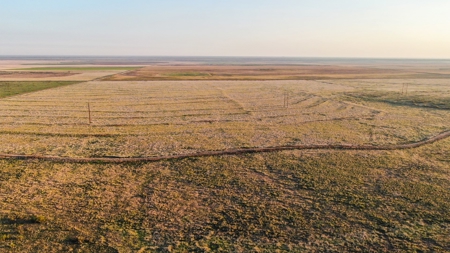 Bailey County Hunting, Farming, or Ranching Tract in Texas - image 17