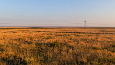 Bailey County Hunting, Farming, or Ranching Tract in Texas - image 5