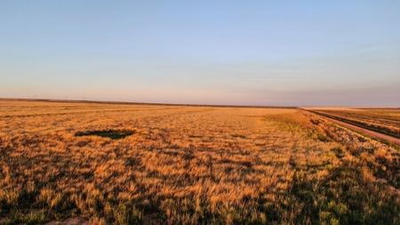 Bailey County Hunting, Farming, or Ranching Tract in Texas - image 2