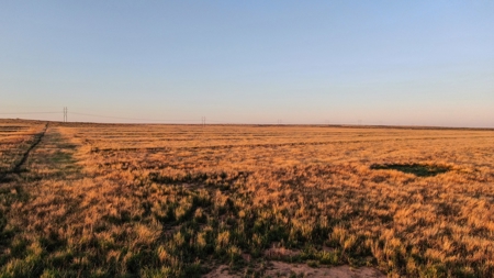 Bailey County Hunting, Farming, or Ranching Tract in Texas - image 1