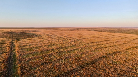 Bailey County Hunting, Farming, or Ranching Tract in Texas - image 11
