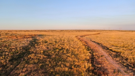 Bailey County Hunting, Farming, or Ranching Tract in Texas - image 13