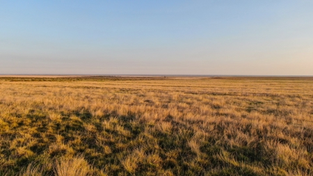 Bailey County Hunting, Farming, or Ranching Tract in Texas - image 19