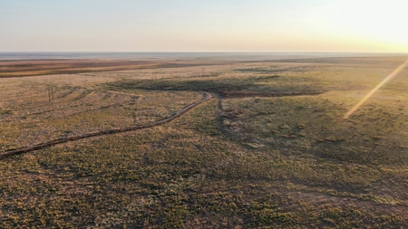 Bailey County Hunting, Farming, or Ranching Tract in Texas - image 16