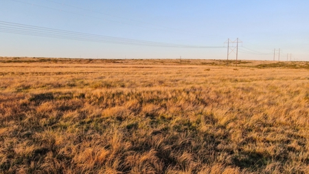 Bailey County Hunting, Farming, or Ranching Tract in Texas - image 20