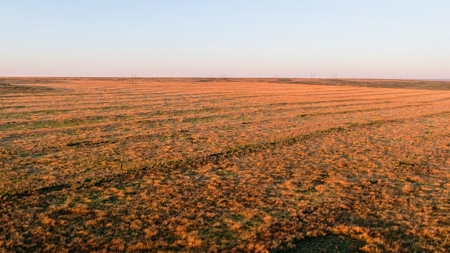 Bailey County Hunting, Farming, or Ranching Tract in Texas - image 3