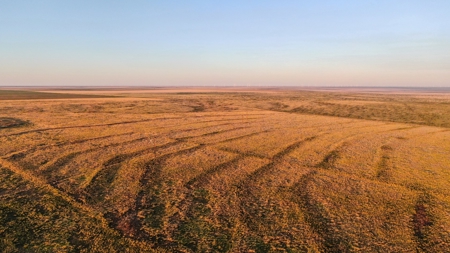 Bailey County Hunting, Farming, or Ranching Tract in Texas - image 12
