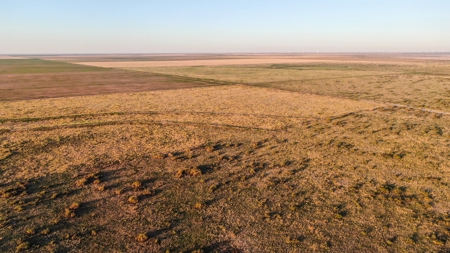Bailey County Hunting, Farming, or Ranching Tract in Texas - image 15