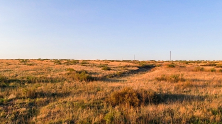Bailey County Hunting, Farming, or Ranching Tract in Texas - image 9