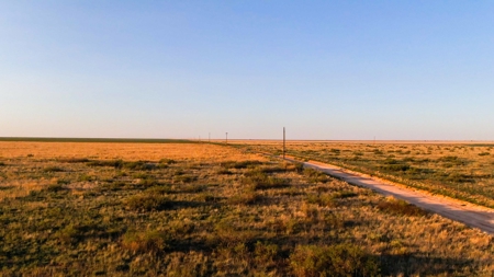 Bailey County Hunting, Farming, or Ranching Tract in Texas - image 7