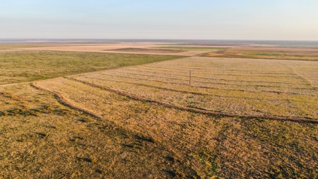Bailey County Hunting, Farming, or Ranching Tract in Texas - image 18