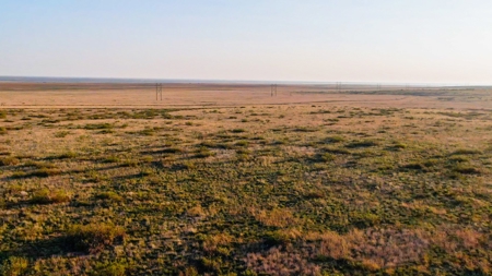 Bailey County Hunting, Farming, or Ranching Tract in Texas - image 6