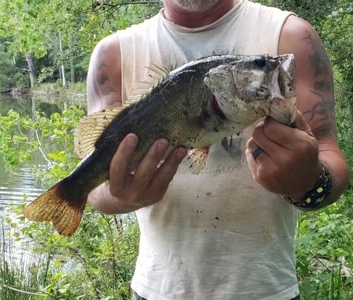23.626 +/- Acres With a Fishing Pond For Sale Ozark, AL - image 26
