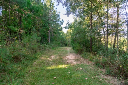 23.626 +/- Acres With a Fishing Pond For Sale Ozark, AL - image 3