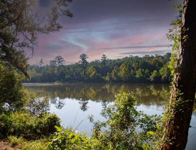23.626 +/- Acres With a Fishing Pond For Sale Ozark, AL - image 20
