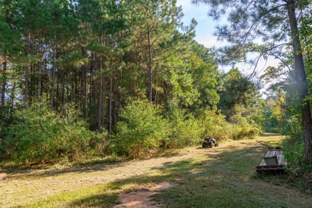 23.626 +/- Acres With a Fishing Pond For Sale Ozark, AL - image 9