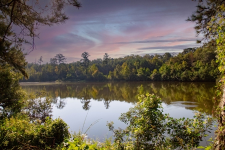 23.626 +/- Acres With a Fishing Pond For Sale Ozark, AL - image 16