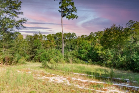 23.626 +/- Acres With a Fishing Pond For Sale Ozark, AL - image 5
