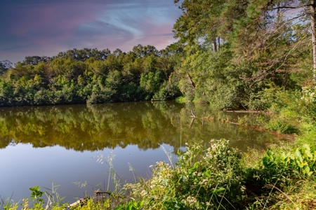 23.626 +/- Acres With a Fishing Pond For Sale Ozark, AL - image 14