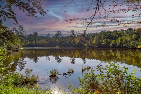 23.626 +/- Acres With a Fishing Pond For Sale Ozark, AL - image 13
