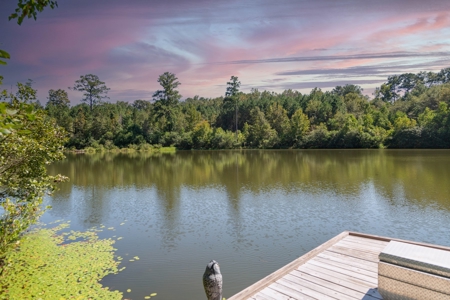 23.626 +/- Acres With a Fishing Pond For Sale Ozark, AL - image 19