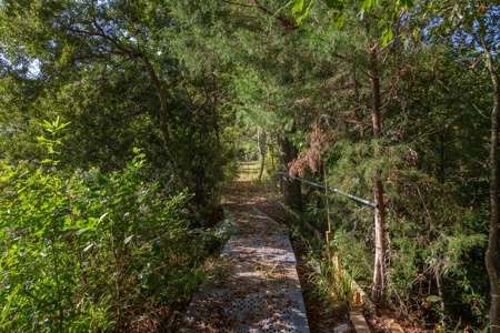 23.626 +/- Acres With a Fishing Pond For Sale Ozark, AL - image 11