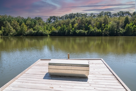 23.626 +/- Acres With a Fishing Pond For Sale Ozark, AL - image 18