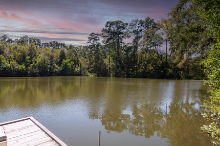 23.626 +/- Acres With a Fishing Pond For Sale Ozark, AL - image 17