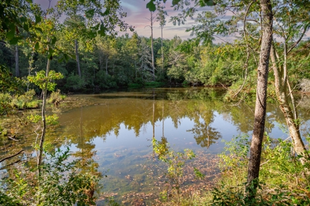 23.626 +/- Acres With a Fishing Pond For Sale Ozark, AL - image 2