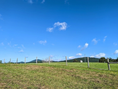 Land for Sale in Willis VA Near Buffalo Mountain! - image 7