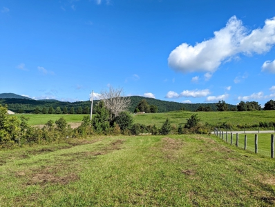 Land for Sale in Willis VA Near Buffalo Mountain! - image 1