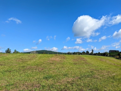 Land for Sale in Willis VA Near Buffalo Mountain! - image 6
