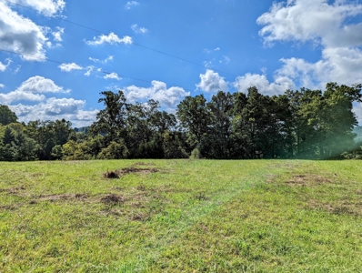 Land for Sale in Willis VA Near Buffalo Mountain! - image 4