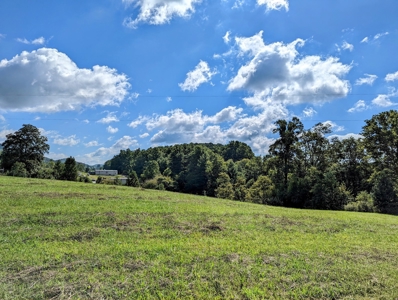 Land for Sale in Willis VA Near Buffalo Mountain! - image 5
