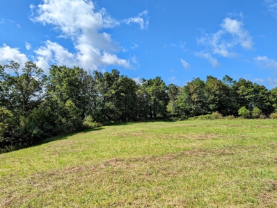 Land for Sale in Willis VA Near Buffalo Mountain! - image 3